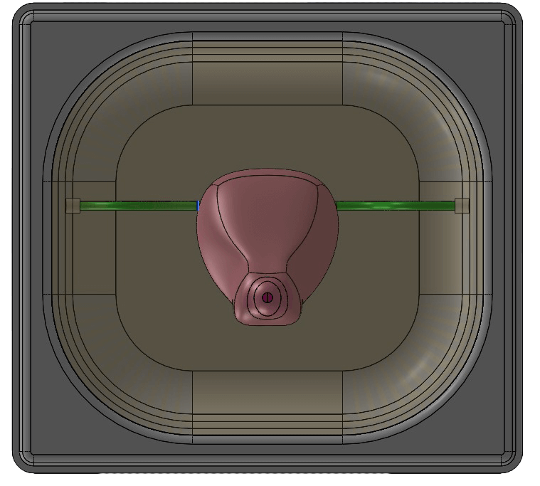 Top view of a 3D model showing a uterus with fallopian tubes inside a training phantom container